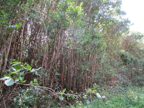 Molokai St Lot 153, Pahoa, HI 96778