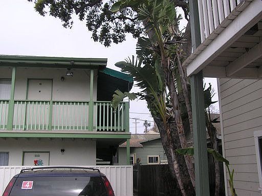3rd image of 310 W Ortega St APT B