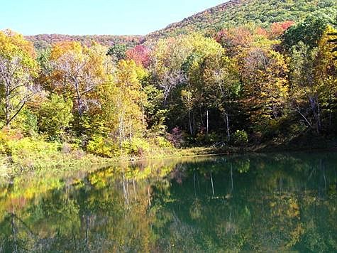 3 Acre Private Parcel