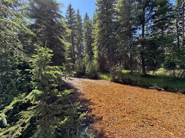 265 N Canyon Dr, Seeley Lake, MT 59868