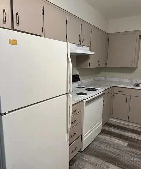 6709 N Standard St #1 — Photo 4