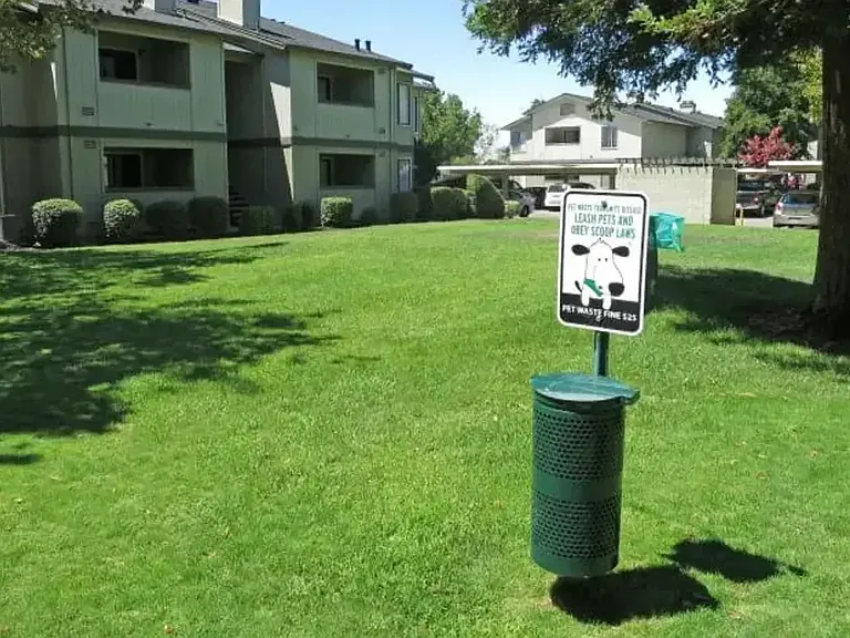 Tracy Park — Photo 27