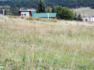 149 Will Scarlet Dr, Divide, CO 80814