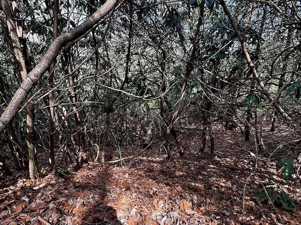 1st image of 38 High Peak Rd