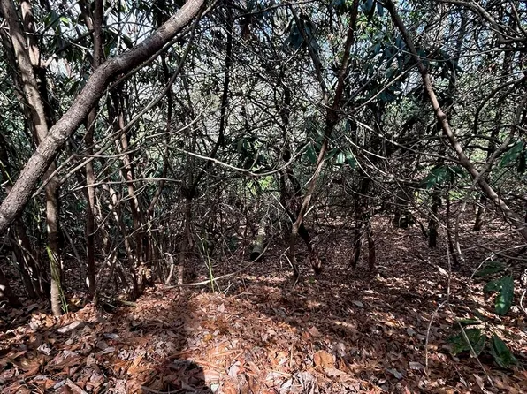 38 High Peak Rd, Hendersonville, NC 28739