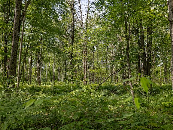 4th image of V/l 13 Mile Rd