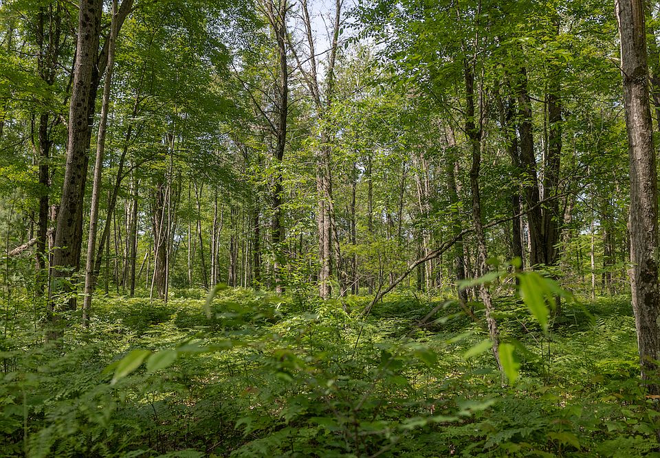 1st image of V/l 13 Mile Rd