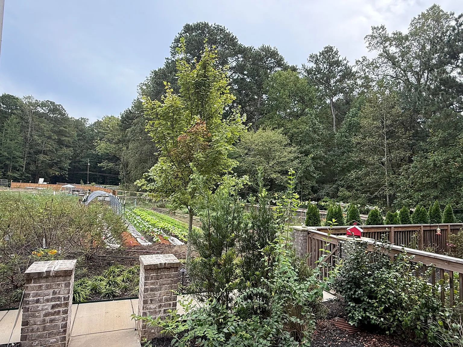 5 bed, 2800 sqft, $4,990 — Photo 3