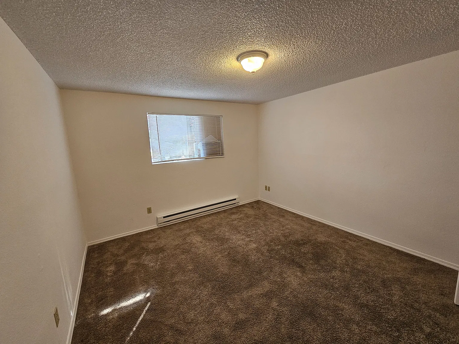 1 bed, 500 sqft, $1,385 — Photo 4