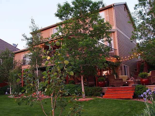 2nd image of 11687 Larkspur Dr