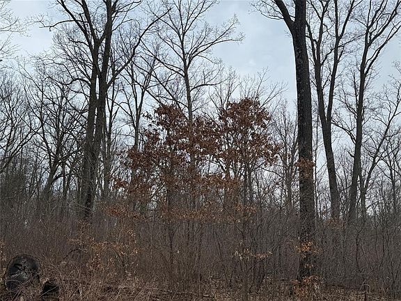 4th image of OOO MAPLE