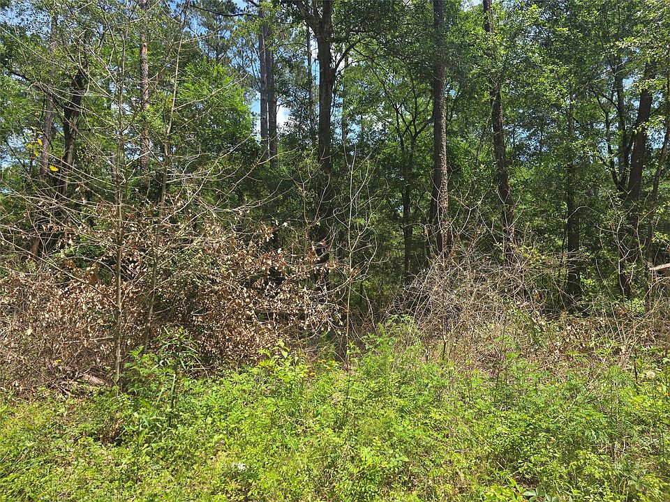1st image of 12949 Cedar Tree Ct