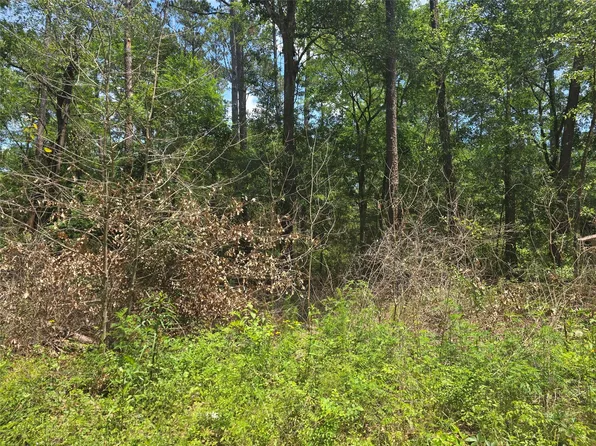 12949 Cedar Tree Ct, Plantersville, TX 77363