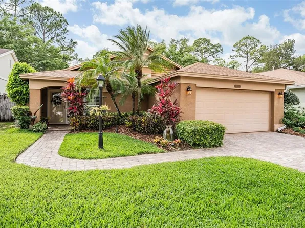 10408 Springrose Dr, Tampa, FL 33626