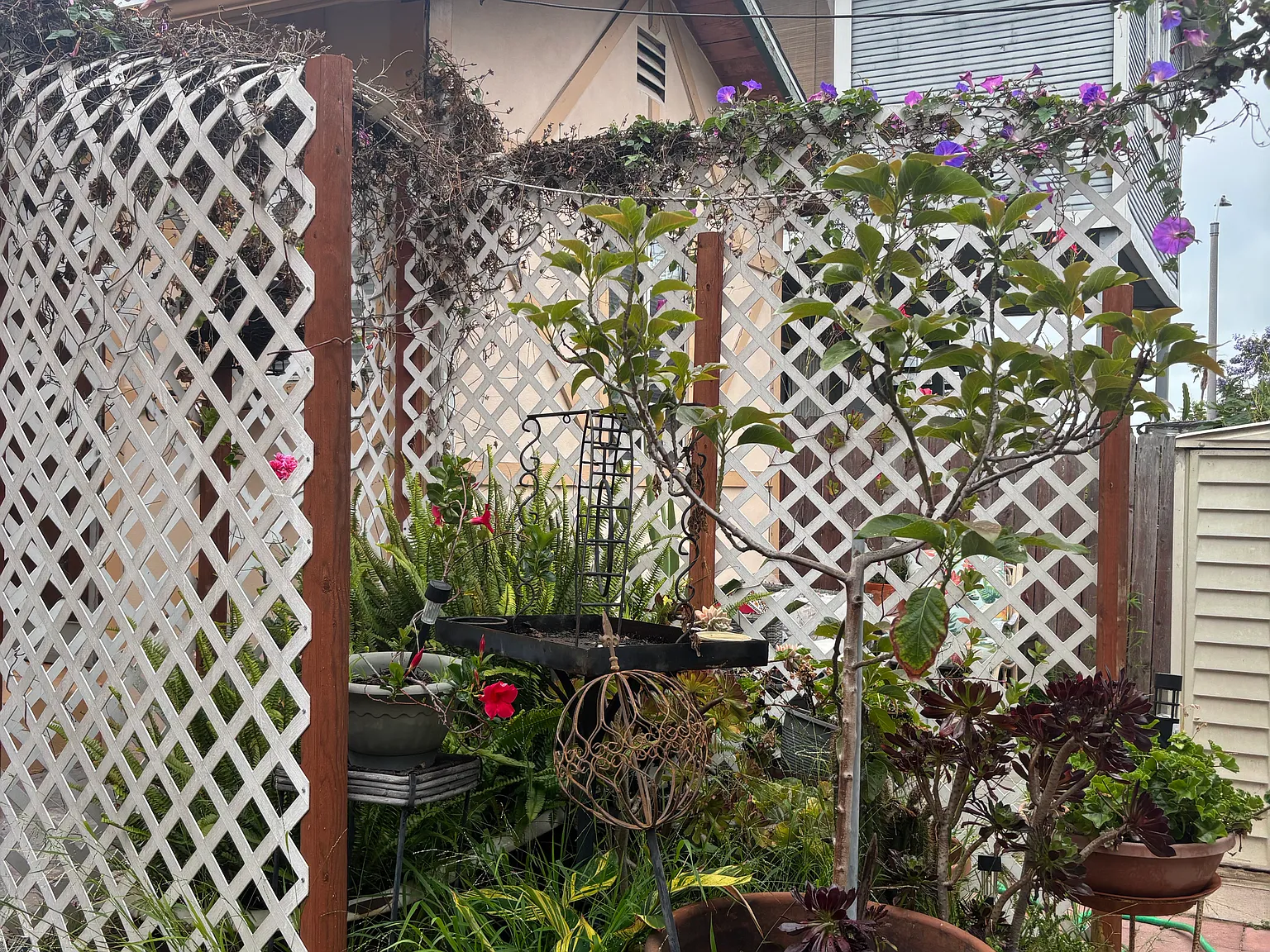 Studio, 300 sqft, $1,650 — Photo 4