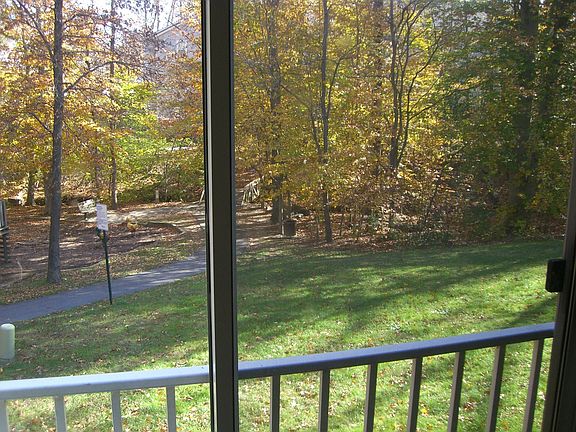view of back yard