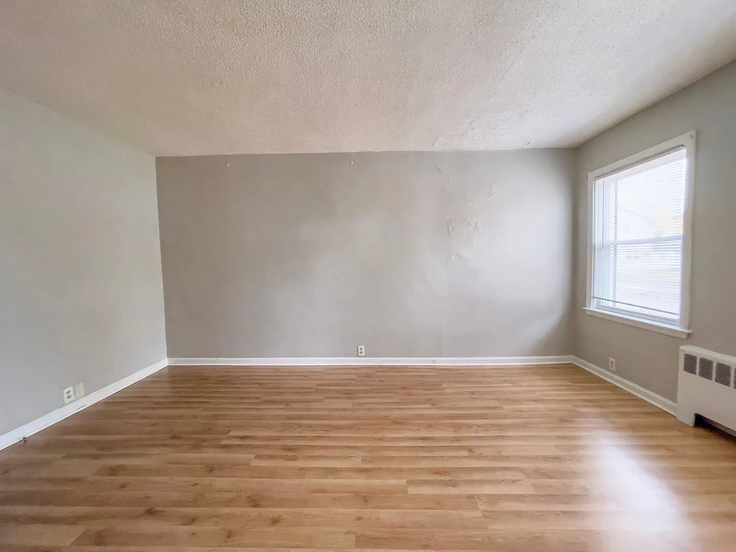 Cozy 1 bedroom, Close to Campus — Photo 3