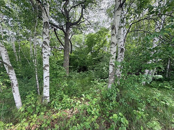4th image of 21781 Trestle Ridge Rd