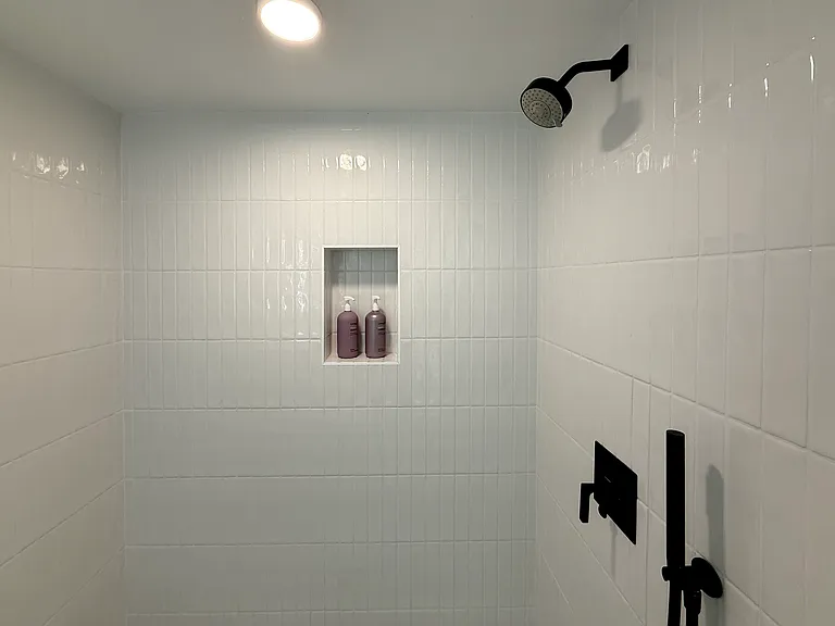 Guest bathroom shower