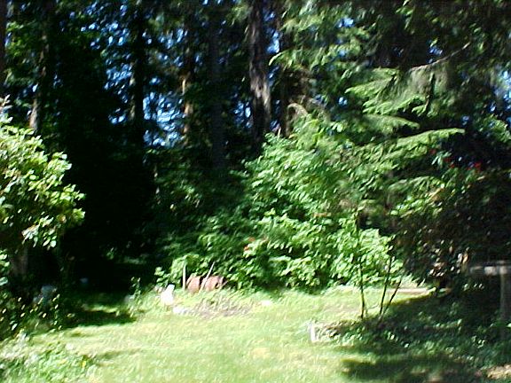 5th image of 7127 123rd Ave NE