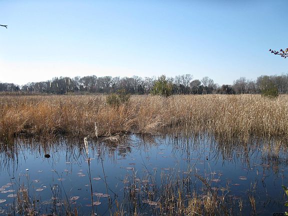4th image of 133/ACRE S County Road 4701