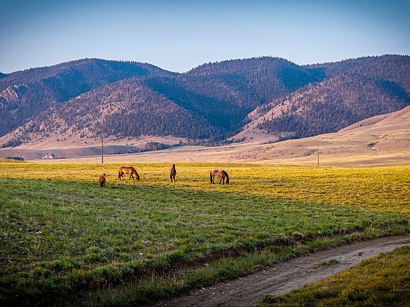 2nd image of N Sheep Mountain Rd