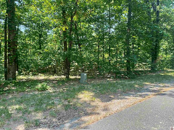 2nd image of 0 Woodduck Ln