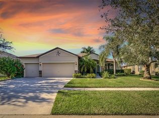 313 Star Shell Dr, Apollo Beach, FL 33572