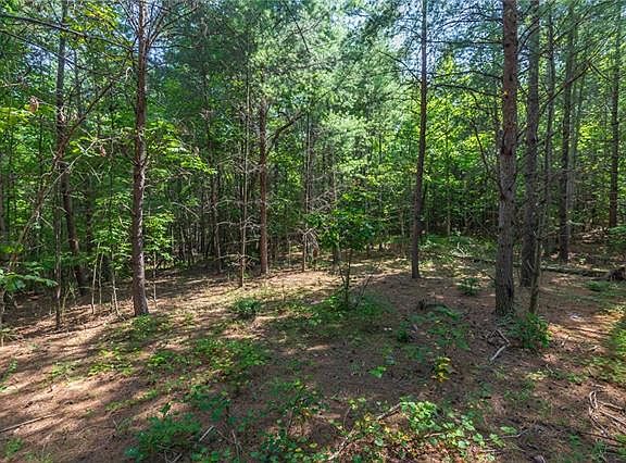 3rd image of 1083 Sale Dr