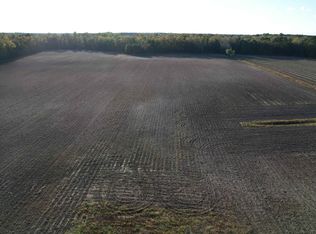 15.98 Acres Williamson Rd TRACT 1, Hemingway, SC 29554