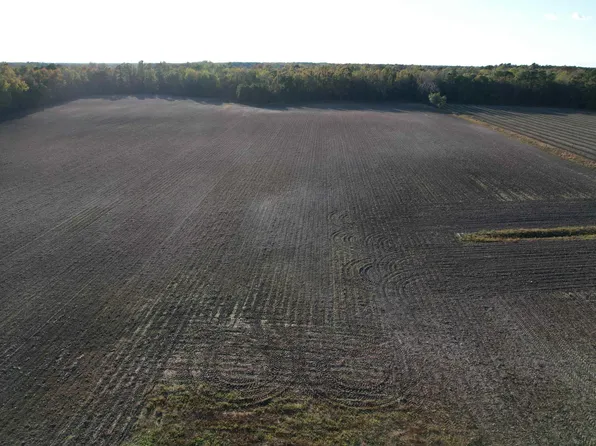 15.98 Acres-TBD Williamson Rd. #Tract 1, Hemingway, SC 29554