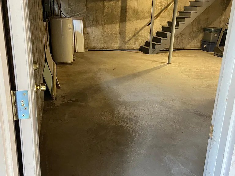 Basement with staircase into house