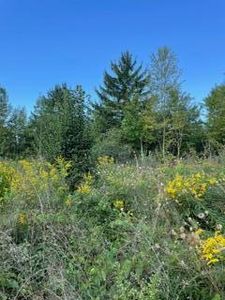 PARCEL One A Niles Rd #63, Saint Joseph, MI, 49085