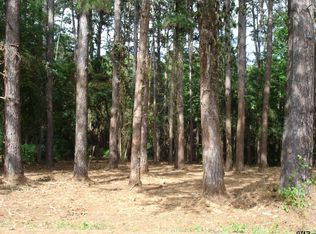 18575 Lazy Ln, Flint, TX 75762