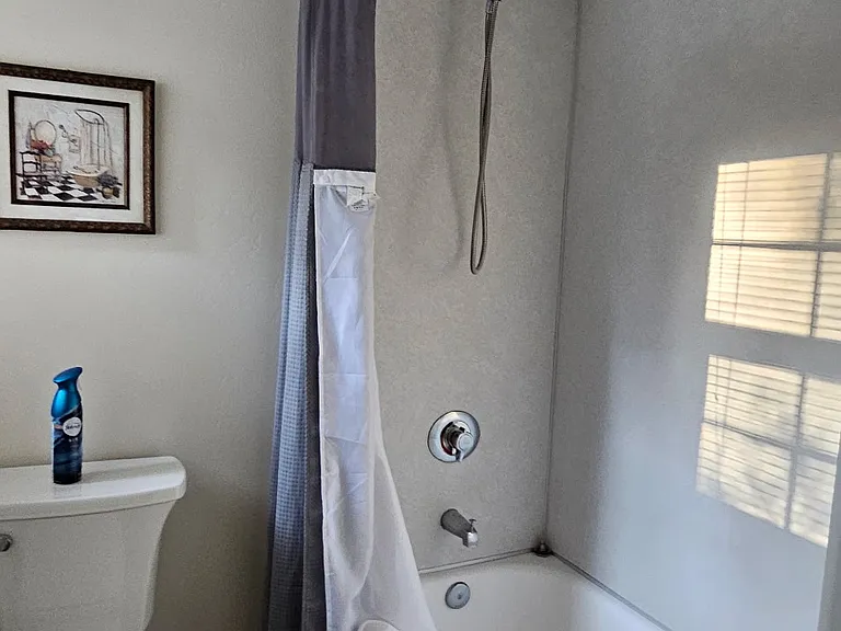 Tub Shower combo.