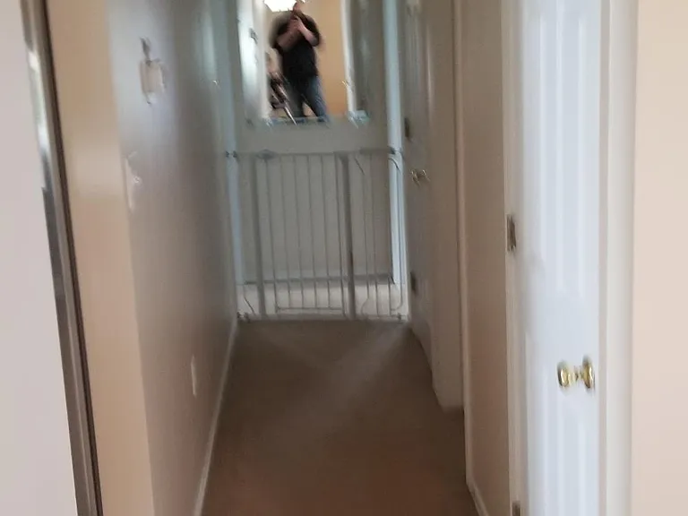 49 Honeysuckle Dr — Photo 3