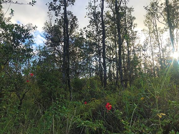 2nd image of 16-1658 Road 6 Lot 4198