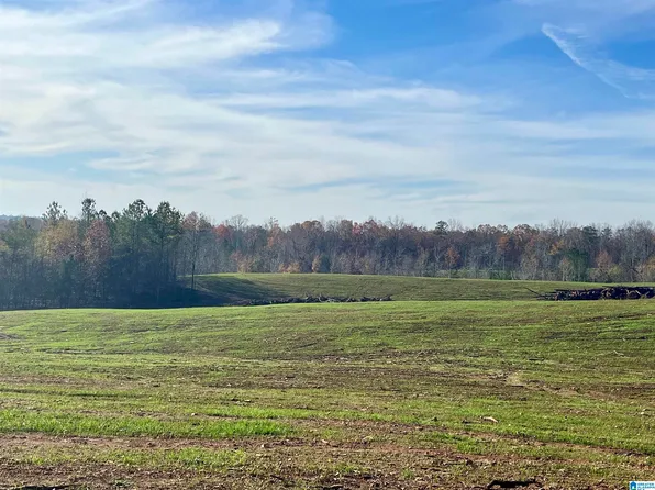 0 County Road 26, Roanoke, AL 36274