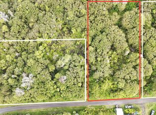 Puna Wai Ave, Mountain View, HI 96771