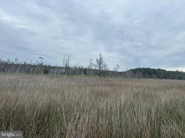 Farm Creek Rd, Wingate, MD 21675