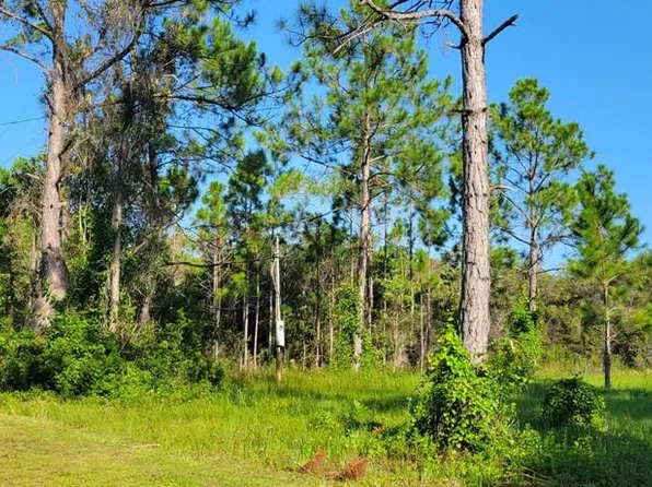 184 Quail Run Dr, Carrabelle, FL 32322