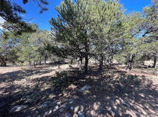 3545 Fallen Tree Place, Crestone, CO 81131