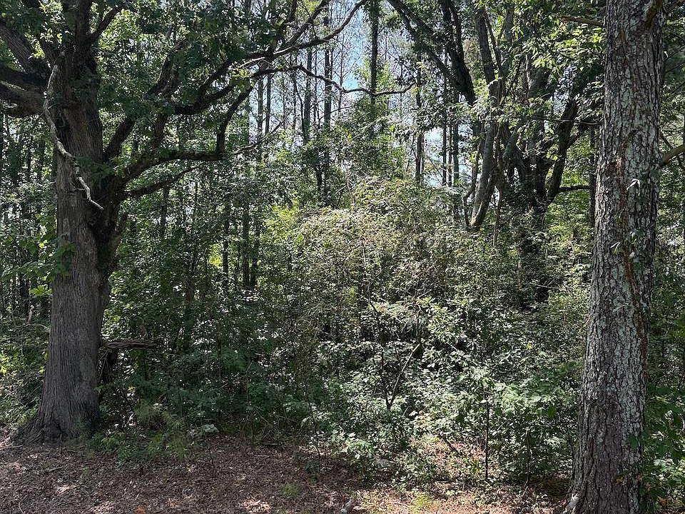 2nd image of 1 Shady Grove Rd