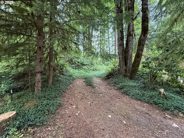 E Lost Shelter Rd, Rhododendron, OR 97049