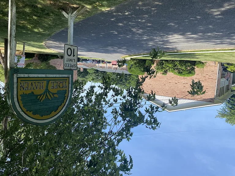 Tree Haven — Photo 12