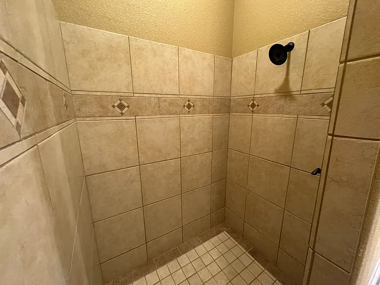 Master Walk-In Shower