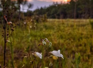 Greenwood Rd, Jay, FL 32565