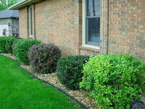 All brick and neat landscaping