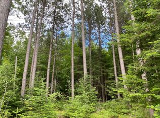 37/AC Pine Lake Rd, Minocqua, WI 54548