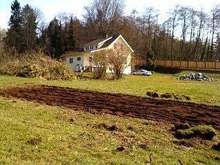 The house from down by the garden (before planting)